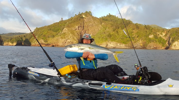 Viking Kayaks - NZ - Live Bait Fishing For Kingfish