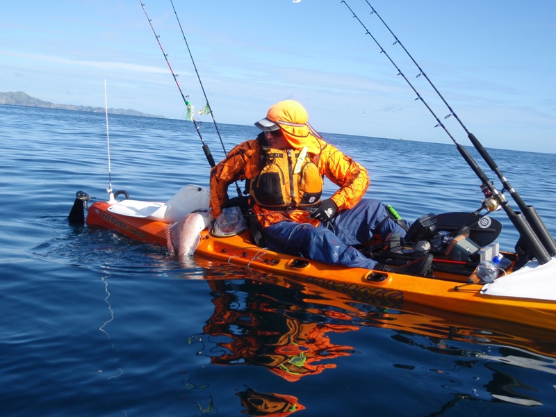 Viking Kayaks - NZ - When kayak fishing I wouldn't be without my