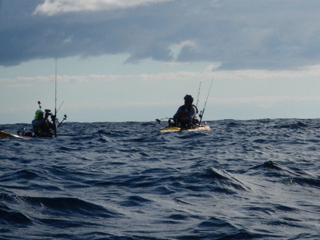 Viking Kayaks - NZ - Kingfish at 3 Kings Islands part 2